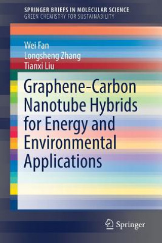 Livre Graphene-Carbon Nanotube Hybrids for Energy and Environmental Applications Wei Fan