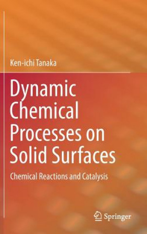 Könyv Dynamic Chemical Processes on Solid Surfaces Ken-ichi Tanaka