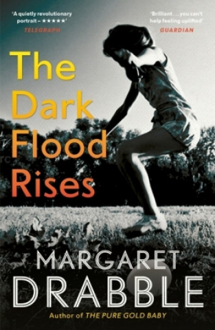 Carte Dark Flood Rises Margaret Drabble