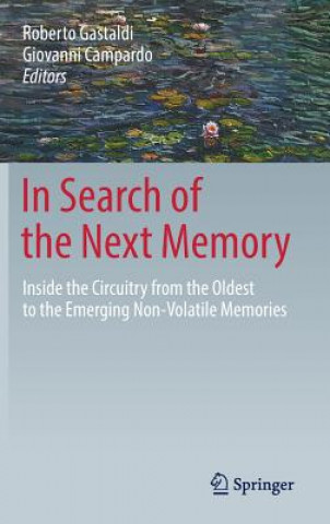 Книга In Search of the Next Memory Roberto Gastaldi