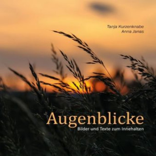 Book Augenblicke Anna Janas