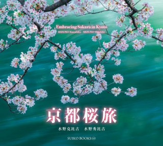 Carte Cherry Blossoms in Kyoto Katsuhiko Mizuno