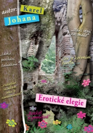 Könyv Erotické elegie Karel Johana