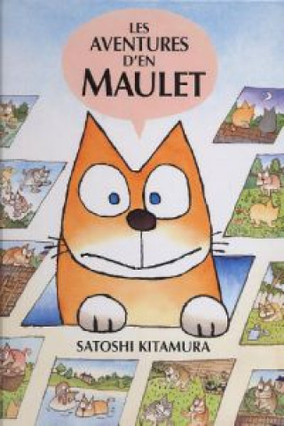 Книга Les aventures d'en Maulet SATOSHI KITAMURA