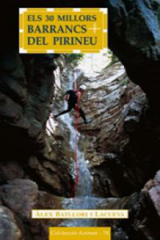 Könyv Els 30 millors barrancs del Pirineu ALEX BATLLORI I LA CUEVA