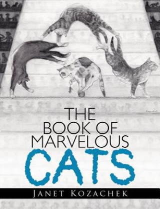 Kniha Book of Marvelous Cats JANET KOZACHEK