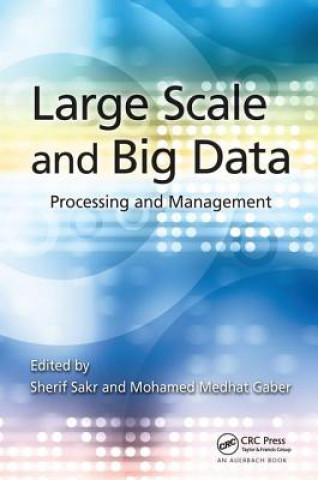 Knjiga Large Scale and Big Data 