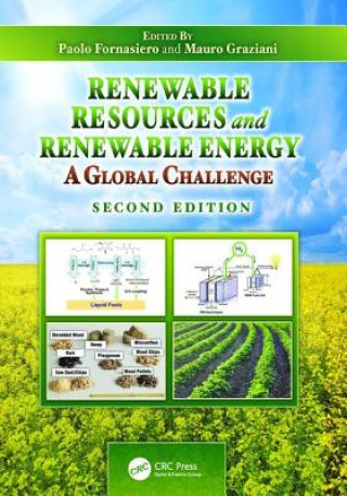 Libro Renewable Resources and Renewable Energy Emo Chiellini