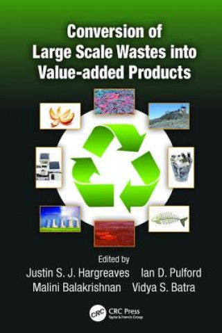 Könyv Conversion of Large Scale Wastes into Value-added Products 