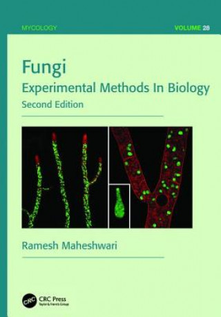 Carte Fungi Ramesh Maheshwari