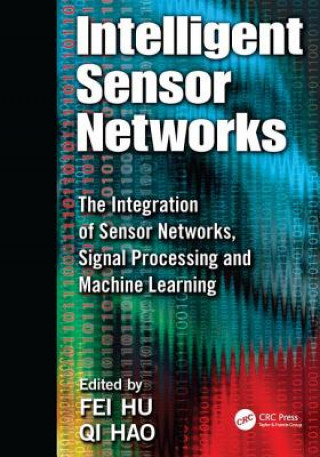 Kniha Intelligent Sensor Networks 