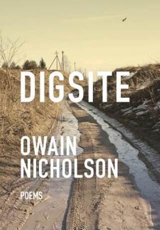 Knjiga Digsite Owain Nicholson
