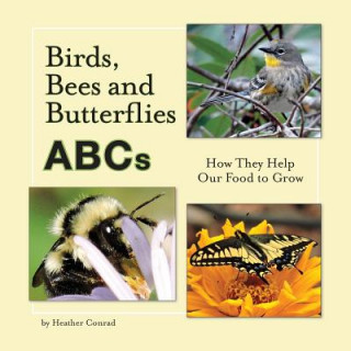 Knjiga Birds, Bees and Butterflies ABCs Heather Conrad