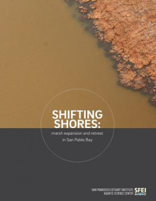 Knjiga SHIFTING SHORES Julie Beagle