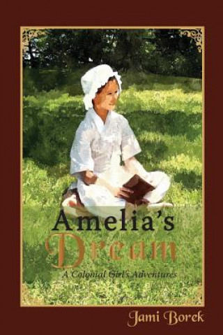 Kniha Amelia's Dream Jami Borek