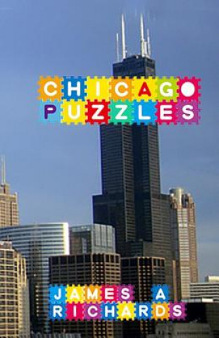 Knjiga Chicago Puzzles James A Richards