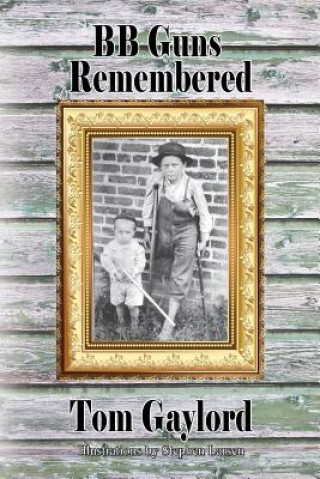 Libro BB Guns Remembered Tom Gaylord