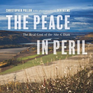 Buch Peace in Peril Christopher Pollon