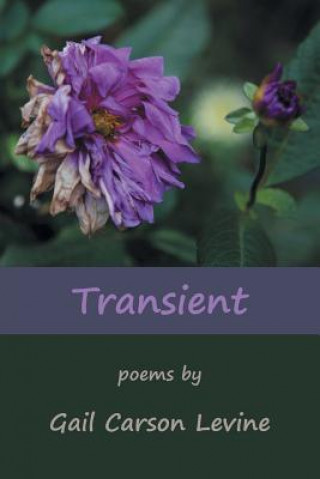 Βιβλίο Transient Gail Carson Levine