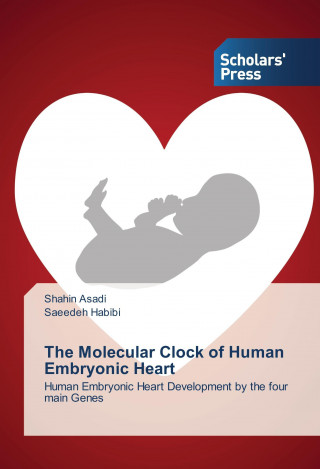 Kniha The Molecular Clock of Human Embryonic Heart Shahin Asadi