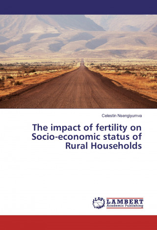 Kniha The impact of fertility on Socio-economic status of Rural Households Celestin Nsengiyumva