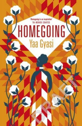 Kniha Homegoing Yaa Gyasi