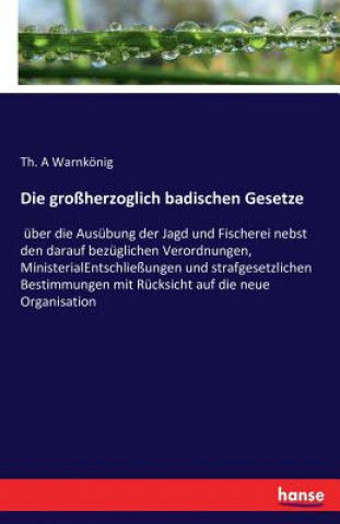 Kniha grossherzoglich badischen Gesetze Th a Warnkonig