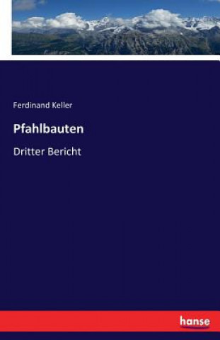 Livre Pfahlbauten Ferdinand Keller