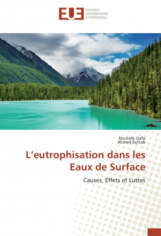 Kniha L'eutrophisation dans les Eaux de Surface Mostefa Gafsi