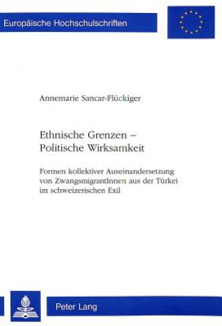 Kniha Ethnische Grenzen - Politische Wirksamkeit Annemarie Sancar-Flückiger