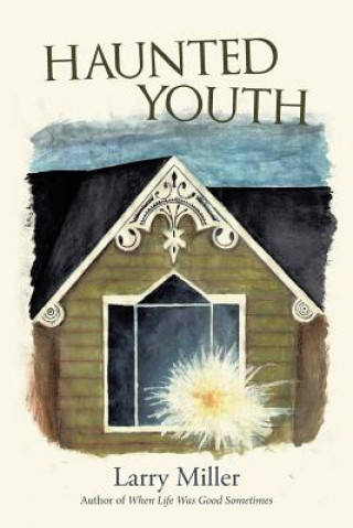 Kniha Haunted Youth Larry Miller