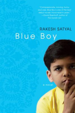 Knjiga Blue Boy Rakesh Satyal