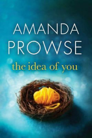 Carte Idea of You Amanda Prowse