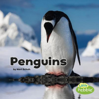 Libro Penguins (Black and White Animals) Mari Schuh