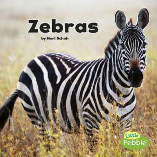 Könyv Zebras (Black and White Animals) Mari Schuh