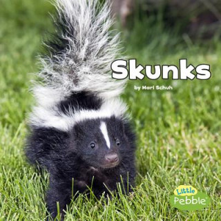 Kniha Skunks Mari Schuh