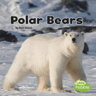 Kniha Polar Bears (Black and White Animals) Mari Schuh
