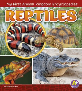 Kniha Reptiles Janet Riehecky