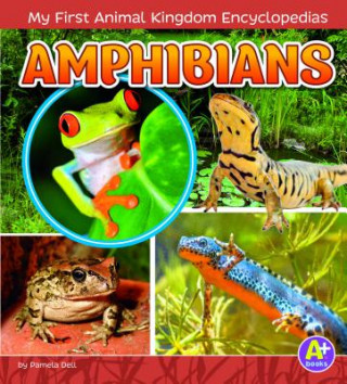 Kniha Amphibians Emma Carlson Berne