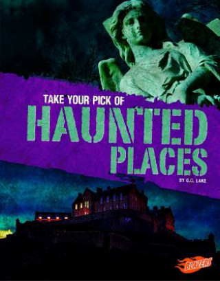 Livre Take Your Pick of Haunted Places G. G. Lake