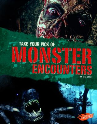 Książka Take Your Pick of Monster Encounters G. G. Lake