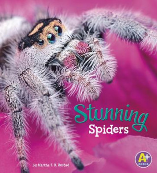 Kniha Stunning Spiders Martha E. H. Rustad