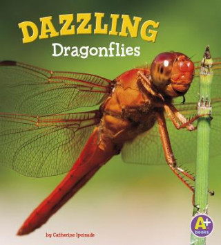 Kniha Dazzling Dragonflies Catherine Ipcizade