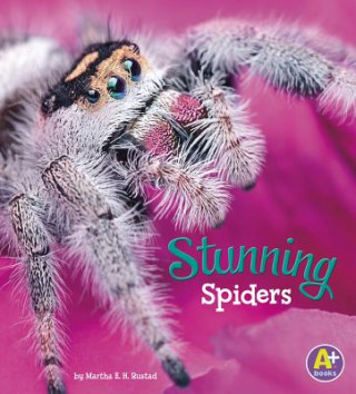 Könyv Stunning Spiders Martha E. H. Rustad