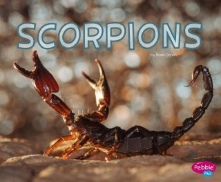 Carte Scorpions Rose Davin