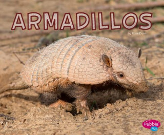 Kniha Armadillos Rose Davin