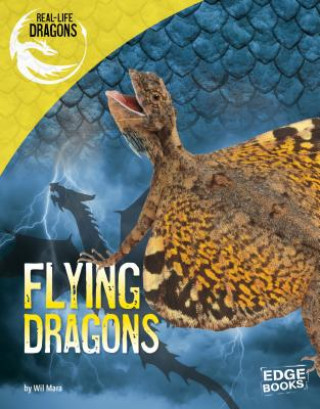 Carte Flying Dragons Wil Mara