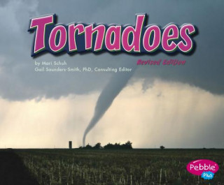 Boek Tornadoes Mari C. Schuh