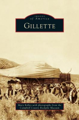 Kniha Gillette Mary Kelley