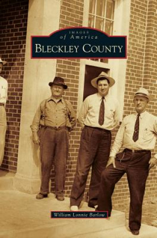 Kniha Bleckley County William Lonnie Barlow